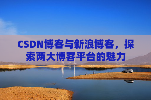 CSDN博客与新浪博客，探索两大博客平台的魅力